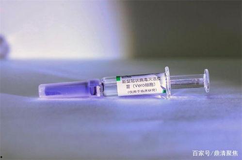 最新爆料新冠疫苗,突破性成果揭示免疫机制 第2张 最新爆料新冠疫苗,突破性成果揭示免疫机制 第2张