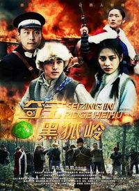 黑狐 在线观看,暗夜猎狐者的神秘征程  第3张