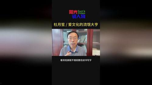 流氓大亨爆料视频大全下载,揭秘黑幕与真相  第2张