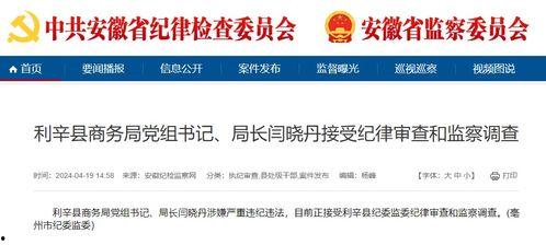 利辛新闻爆料最新消息,最新爆料揭示惊人事件，详情即将揭晓！