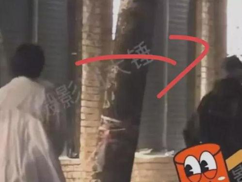 刘大锤爆料包贝尔视频,刘大锤揭露娱乐圈惊人内幕  第3张 刘大锤爆料包贝尔视频,刘大锤揭露娱乐圈惊人内幕  第3张