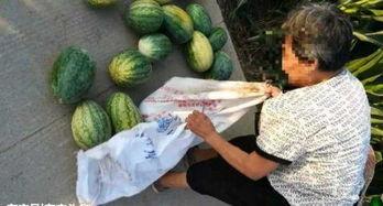 安国吃瓜最新事件爆料,揭秘背后惊人真相  第3张