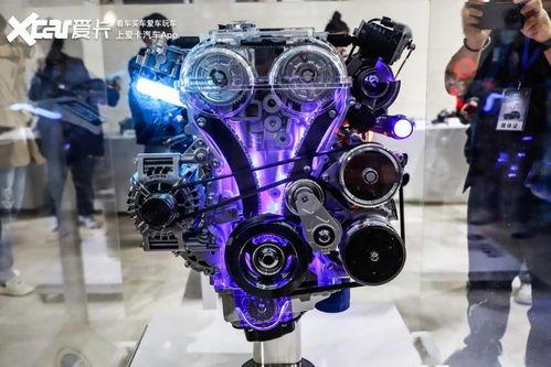 狗仔如何爆料狗粮视频讲解,狗粮视频爆料全解析  第1张 狗仔如何爆料狗粮视频讲解,狗粮视频爆料全解析  第1张