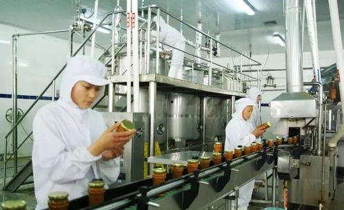 狗仔如何爆料狗粮视频讲解,狗粮视频爆料全解析  第3张 狗仔如何爆料狗粮视频讲解,狗粮视频爆料全解析  第3张