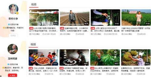 三农爆料的视频,揭秘农村发展新动态  第2张