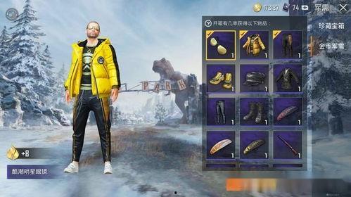 军需币皮肤最新爆料,神秘英雄即将登场，视觉盛宴即将开启！  第2张