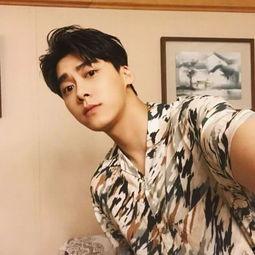 小李爆料李易峰视频,小李爆料背后的真相揭秘  第2张