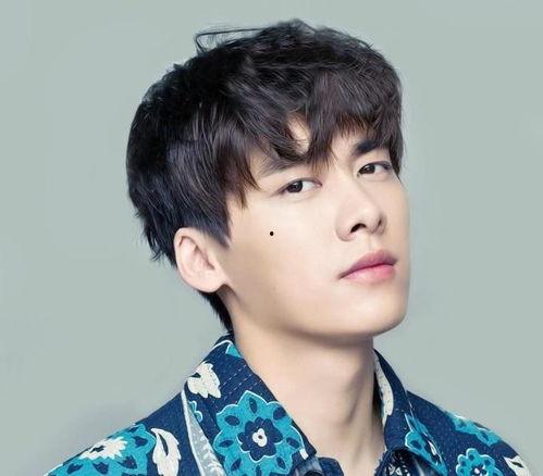 小李爆料李易峰视频,小李爆料背后的真相揭秘  第3张