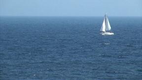 海洋最新爆料视频下载安装,最新海洋爆料视频深度解析  第2张