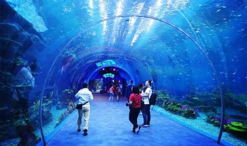 海洋最新爆料视频下载安装,最新海洋爆料视频深度解析  第3张