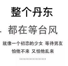 最新台风爆料新闻内容是什么,强度升级，路径调整，多地预警  第3张