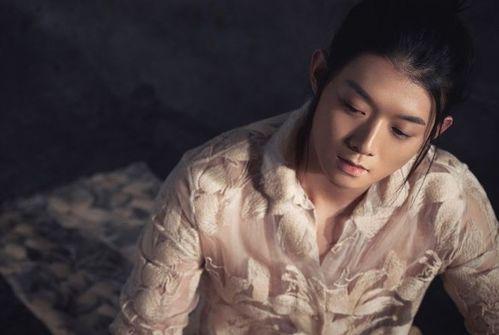 霍尊被爆料内容视频播放,揭秘娱乐圈不为人知的一面  第2张