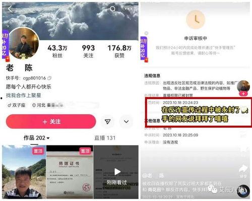 老陈直播爆料视频大全,揭秘视频大全背后的精彩瞬间