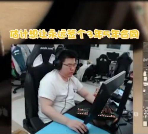 老陈直播爆料视频大全,揭秘视频大全背后的精彩瞬间  第2张