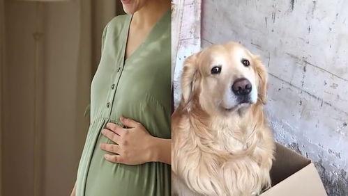 狗上女人视频在线观看,温馨视频在线欣赏  第2张