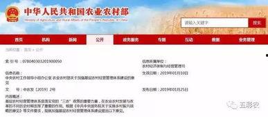 农村国宝爆料新闻最新版,揭秘最新版惊天新闻背后的真相  第3张