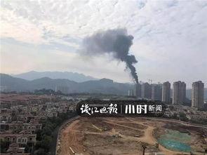 柯岩最新爆料新闻事件,揭开娱乐圈惊人内幕  第3张