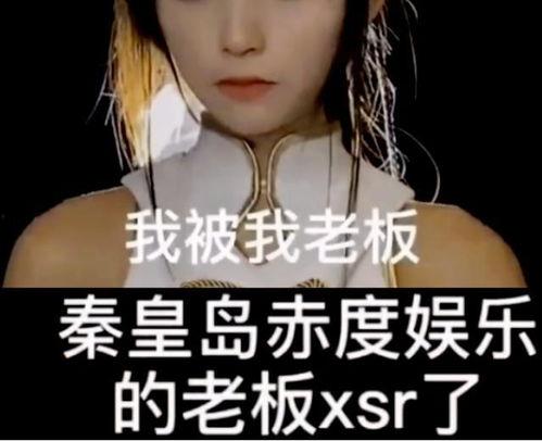 小慧爆料老公视频大全,揭秘娱乐圈背后的真相  第3张