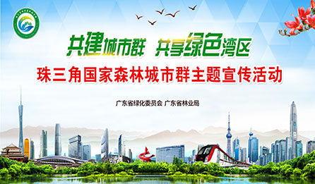 广东农村爆料新闻,揭秘乡村发展新动向  第3张