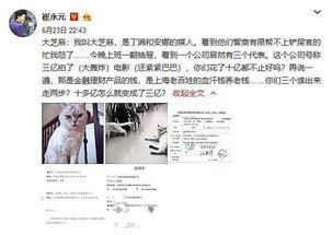 爆料范冰冰近况视频最新,生活低调，事业新动向引关注  第3张