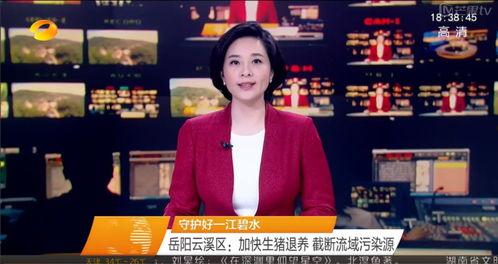 最新爆料湖南新闻联播视频,揭秘重大事件背后真相