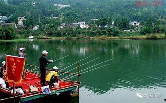 钓鱼爆料视频最新消息,惊心动魄的捕鱼瞬间！  第2张