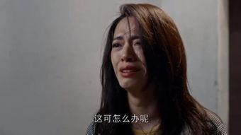 玉蒲在线观看,揭秘古代宫廷秘闻,带你穿越时空的奇幻之旅  第3张 玉蒲在线观看,揭秘古代宫廷秘闻,带你穿越时空的奇幻之旅  第3张