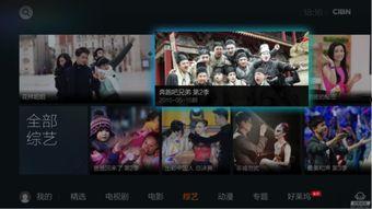 康纳独家爆料模板视频,揭秘模板视频背后的制作秘密与技巧