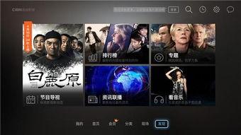 康纳独家爆料模板视频,揭秘模板视频背后的制作秘密与技巧  第3张