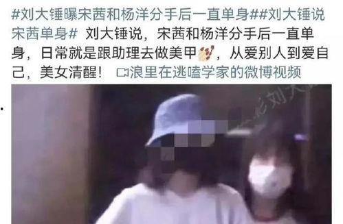 刘大锤最新爆料杨洋直播,揭秘明星直播背后的故事