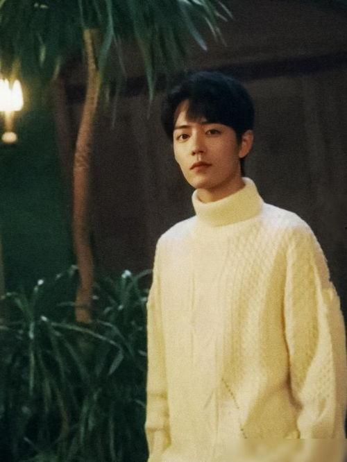 肖战陈伟霆最新爆料,揭秘幕后故事与精彩瞬间  第3张