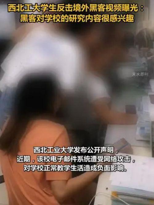 外国黑客爆料视频网站,外国黑客揭露视频网站惊人内幕