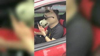 驴哥爆料视频在线观看全集,揭秘幕后真相，带你领略精彩瞬间