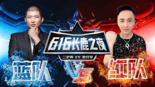 驴哥爆料视频在线观看全集,揭秘幕后真相，带你领略精彩瞬间  第2张