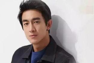 圈内人爆料林更新赵丽颖,圈内人爆料恋情真相揭晓  第2张