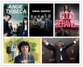 tnt新闻爆料,揭秘惊天大事件背后的惊人真相