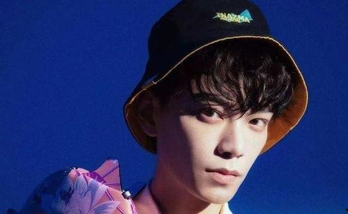 圈内八卦爆料丁禹兮,揭秘娱乐圈新晋小生的神秘面纱 第2张 圈内八卦爆料丁禹兮,揭秘娱乐圈新晋小生的神秘面纱 第2张