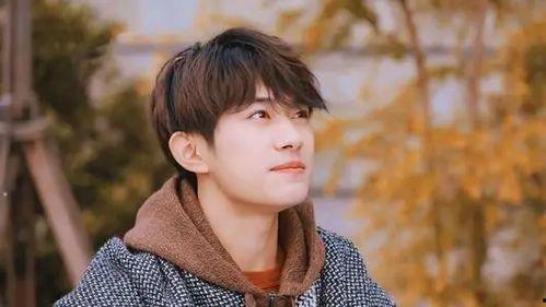 圈内八卦爆料丁禹兮,揭秘娱乐圈新晋小生的神秘面纱 第3张 圈内八卦爆料丁禹兮,揭秘娱乐圈新晋小生的神秘面纱 第3张