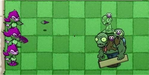 pvzbt最新版爆料,揭秘植物大战僵尸全新玩法与神秘更新