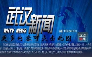 武汉电视台新闻爆料,聚焦城市安全与民生问题  第1张