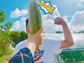 最新吃瓜爆料网红,揭秘最新吃瓜爆料背后的惊人真相  第3张