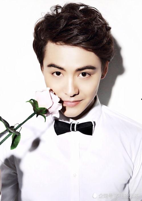 爆料马天宇唱歌视频,歌声魅力引网友热议 第1张 爆料马天宇唱歌视频,歌声魅力引网友热议 第1张