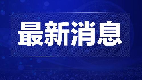 福鼎热点爆料新闻视频,视频揭露惊人真相,速来围观! 第1张 福鼎热点爆料新闻视频,视频揭露惊人真相,速来围观! 第1张