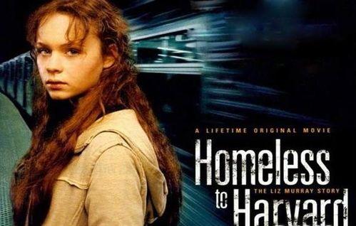 风雨哈佛路在线观看,逆境中的奋斗与成长