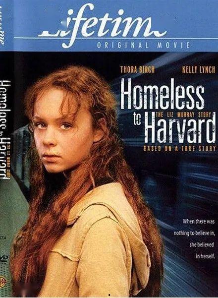 风雨哈佛路在线观看,逆境中的奋斗与成长 第2张 风雨哈佛路在线观看,逆境中的奋斗与成长 第2张